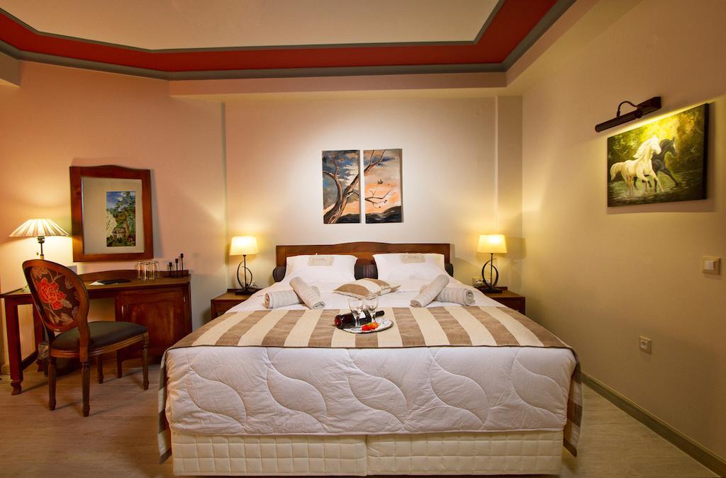 Hotel Rodovoli Konitsa Cameră foto