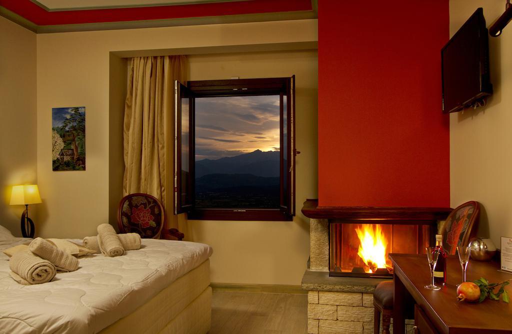 Hotel Rodovoli Konitsa Cameră foto